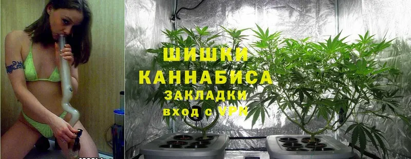 где найти   kraken как зайти  Каннабис Ganja  Бирюч 